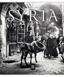 Eyes on Syria (Bog)