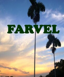 FARVEL (Bog)