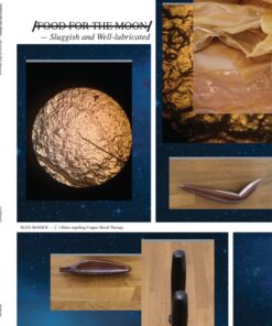 /FOOD FOR THE MOON/ (Bog)