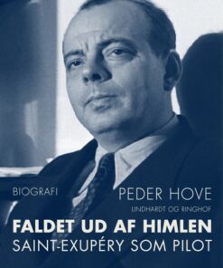 Faldet ud af himlen (E-bog)