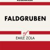 Faldgruben (Bog)