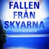 Fallen från skyarna (E-bog)