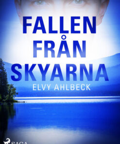 Fallen från skyarna (E-bog)