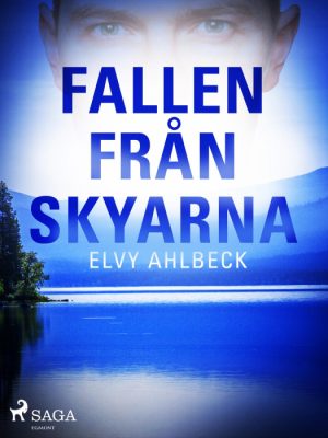 Fallen från skyarna (E-bog)