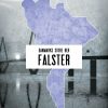 Falster (E-bog)
