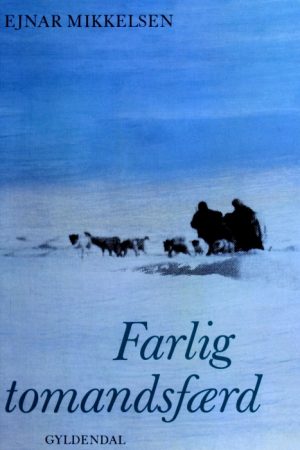 Farlig tomandsfærd (E-bog)