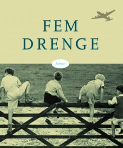 Fem drenge (E-bog)