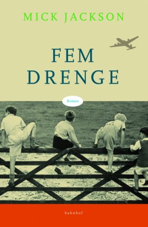 Fem drenge (E-bog)