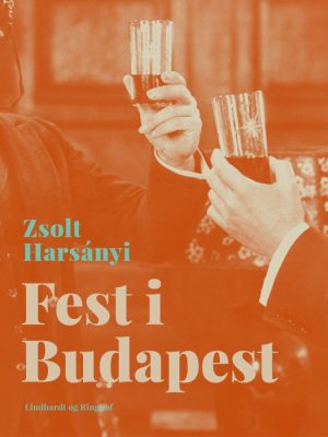 Fest i Budapest (Bog)