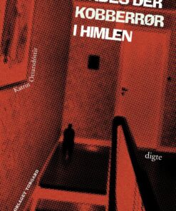 Findes Der Kobberrør I Himlen - Katrin Ottarsdóttir - Bog