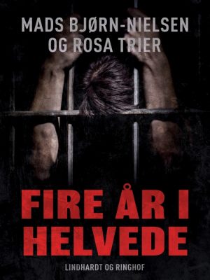Fire år i helvede (E-bog)