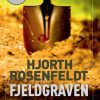Fjeldgraven (E-bog)