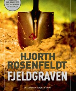 Fjeldgraven (E-bog)