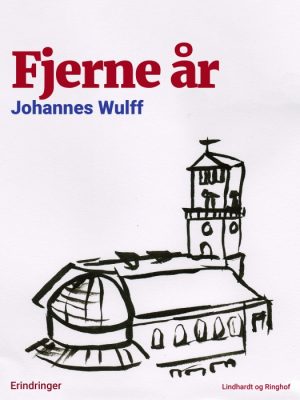 Fjerne år (E-bog)