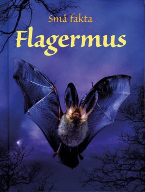 Flagermus (E-bog)