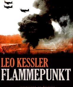 Flammepunkt (Bog)