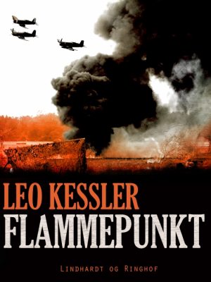 Flammepunkt (Bog)