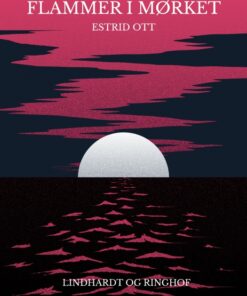 Flammer i mørket (Bog)