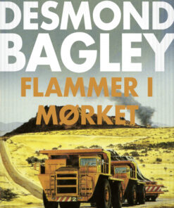 Flammer i mørket (Bog)
