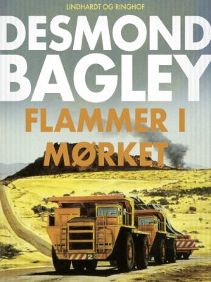 Flammer i mørket (E-bog)