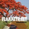 Flammetræet (Bog)