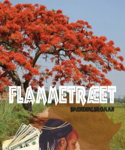 Flammetræet - Kim Højgaard Rasmussen - Bog