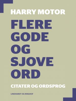 Flere gode og sjove ord (Bog)