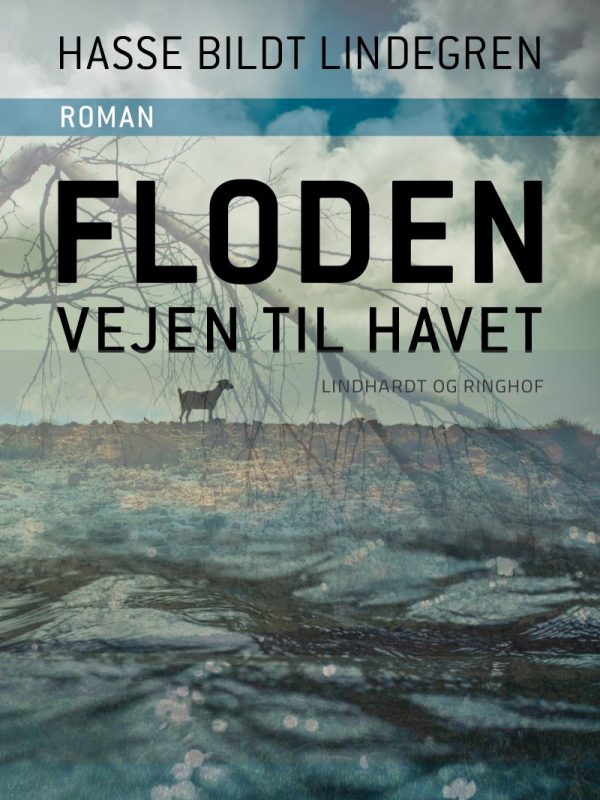 Floden - Vejen Til Havet - Hasse Bildt Lindegren - Bog