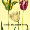 Flowers And World Views - Hanne Kolind Poulsen - Bog