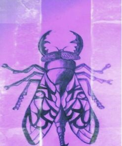 Fluen På Væggen - Ka Br2 - Bog