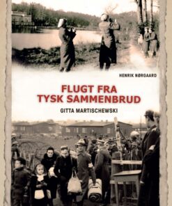 Flugt fra tysk sammenbrud (E-bog)
