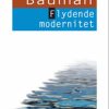 Flydende modernitet (Bog)