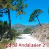 Fod på Andalusien 2 (Bog)