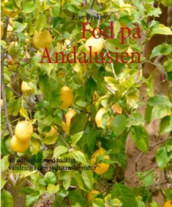 Fod på Andalusien (Bog)