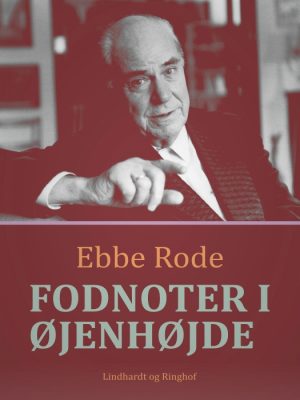 Fodnoter i øjenhøjde (E-bog)