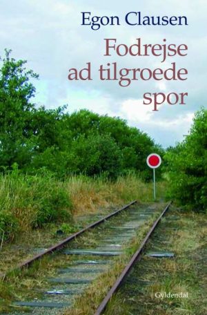 Fodrejse ad tilgroede spor (E-bog)