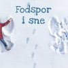Fodspor i sne (Bog)