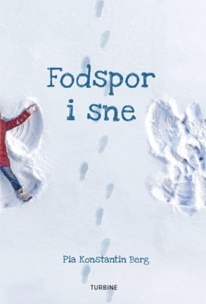 Fodspor i sne (Bog)