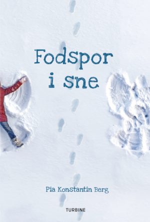 Fodspor i sne (E-bog)