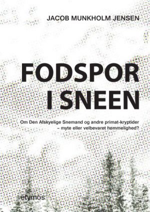 Fodspor i sneen (Bog)