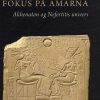 Fokus på Amarna (Bog)