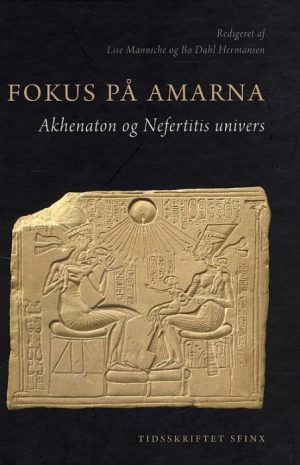 Fokus på Amarna (Bog)