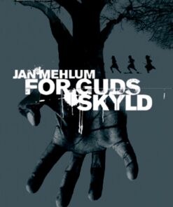 For Guds skyld (E-bog)