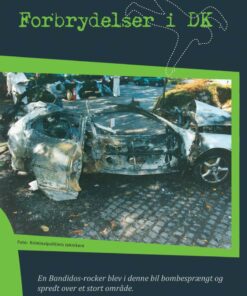 Forbrydelser I Dk - 2 - Bog