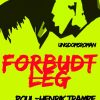Forbudt leg (E-bog)