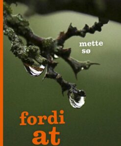 Fordi At - Mette Sø - Bog