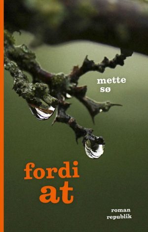 Fordi At - Mette Sø - Bog