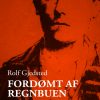 Fordømt af regnbuen: en roman om digteren Arthur Rimbauds liv (Bog)