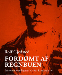 Fordømt af regnbuen: en roman om digteren Arthur Rimbauds liv (Bog)
