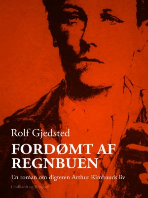 Fordømt af regnbuen: en roman om digteren Arthur Rimbauds liv (Bog)